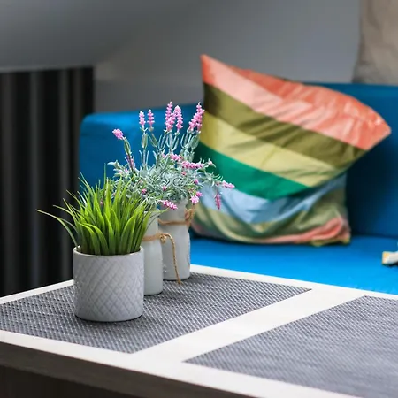 Budget Jelica Belgrade