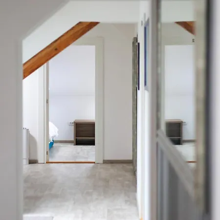 Budget Jelica Auberge de jeunesse