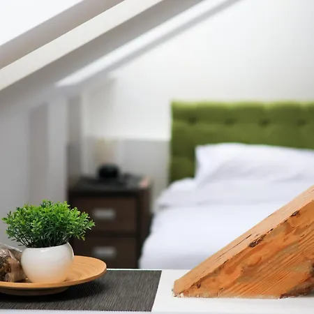 Auberge de jeunesse Budget Jelica *