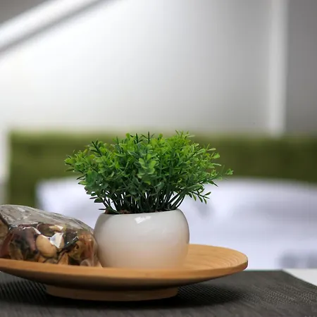 Auberge de jeunesse Budget Jelica