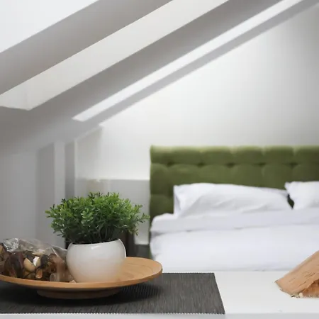 Auberge de jeunesse Budget Jelica *